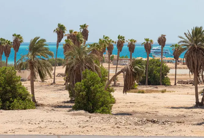 116225368 - صورة العقار 2