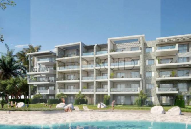 97439381 - Property Image 2