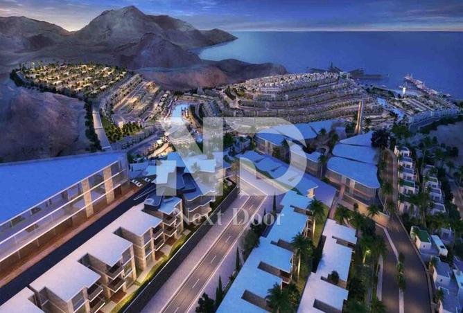 56003728 - Property Image 3