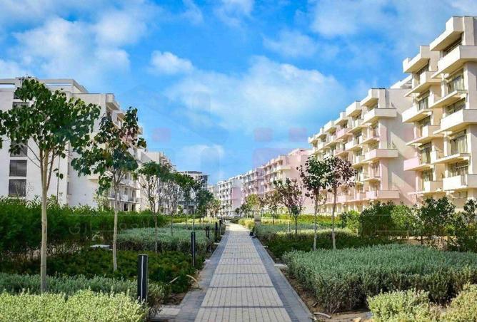 66954475 - Property Image 2