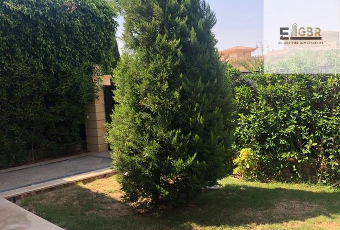 55256546 - صورة العقار 3