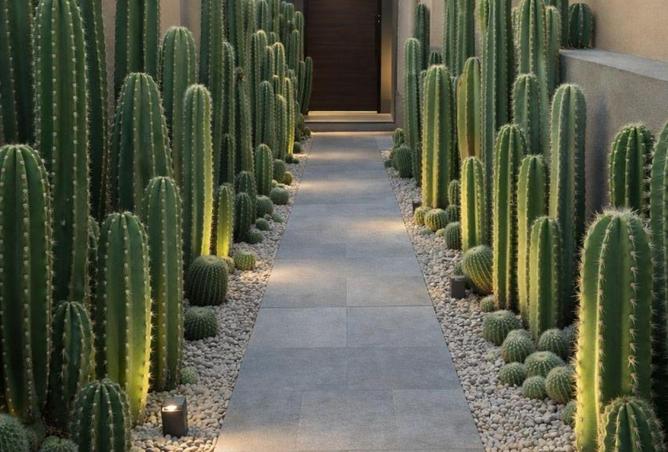 54501978 - Property Image 2