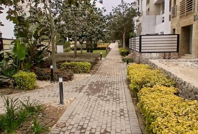 68763717 - صورة العقار 3