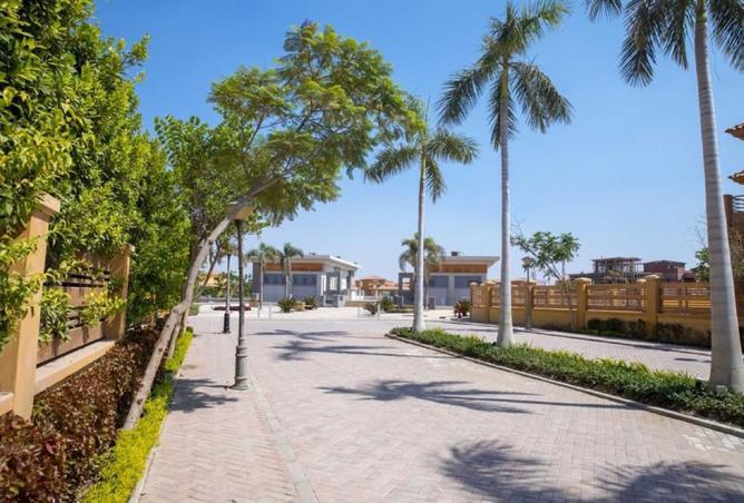 87518131 - صورة العقار 3