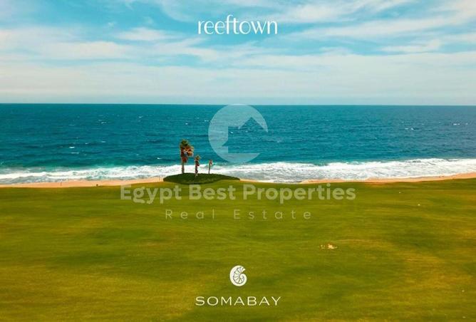 8667369 - Property Image 3