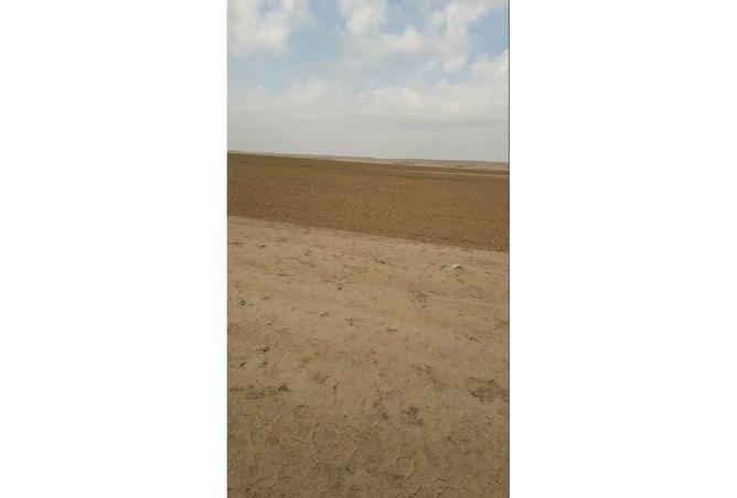 52194835 - صورة العقار 3