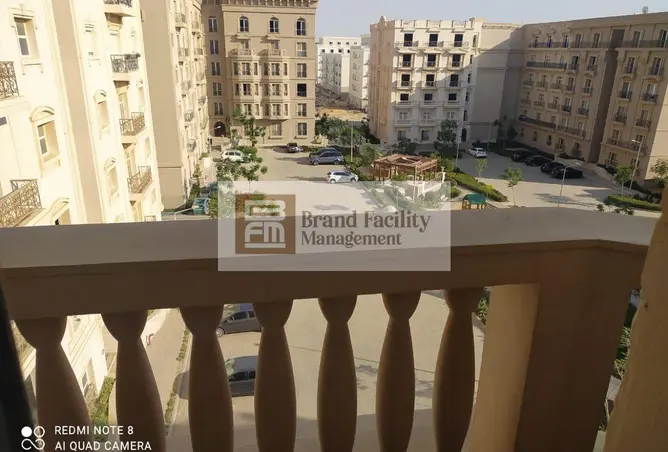 116751598 - Property Image 3
