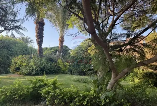 111884576 - صورة العقار 3