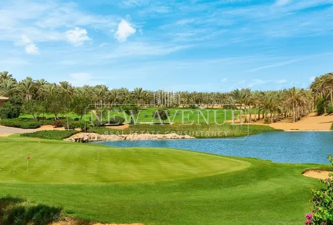 111584615 - Property Image 3