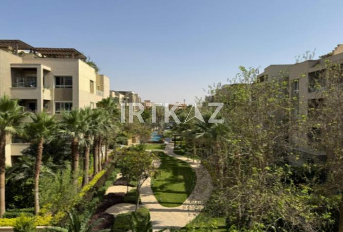 96861094 - Property Image 3