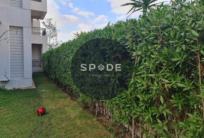 66686493 - صورة العقار 2