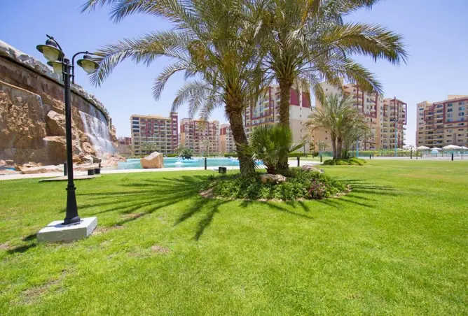 83681996 - صورة العقار 2