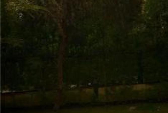 67999026 - Property Main Image