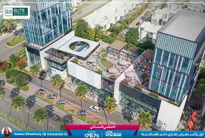 8593902 - Property Image 2