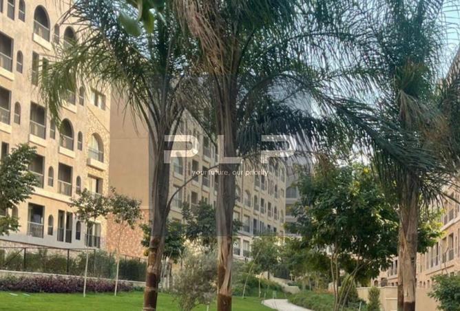 93248401 - صورة العقار 3