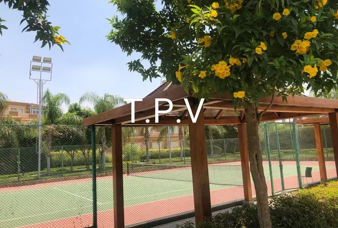 113245962 - Property Image 3