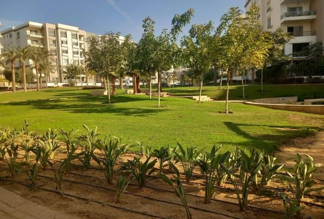 100097003 - الصورة الرئيسية للعقار