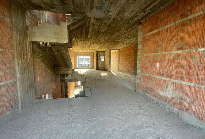 66438294 - Property Image 3