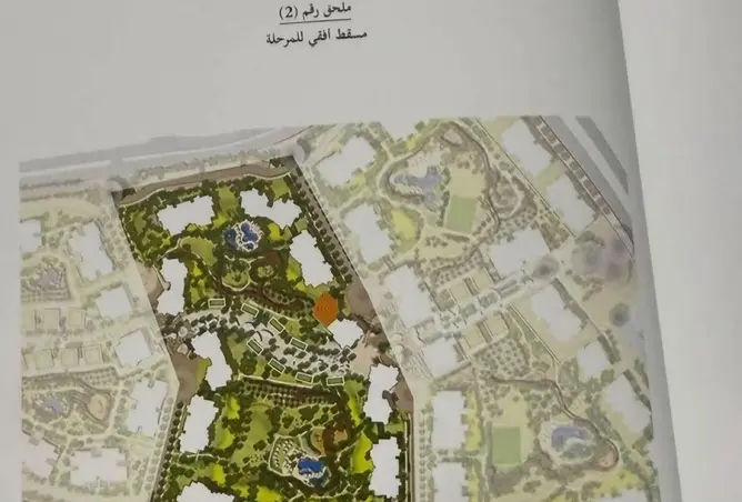 116229189 - صورة العقار 3
