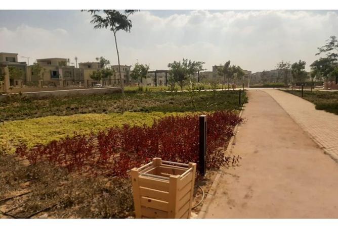 54241043 - Property Image 3