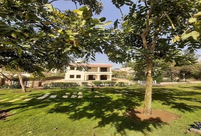 107696851 - صورة العقار 2