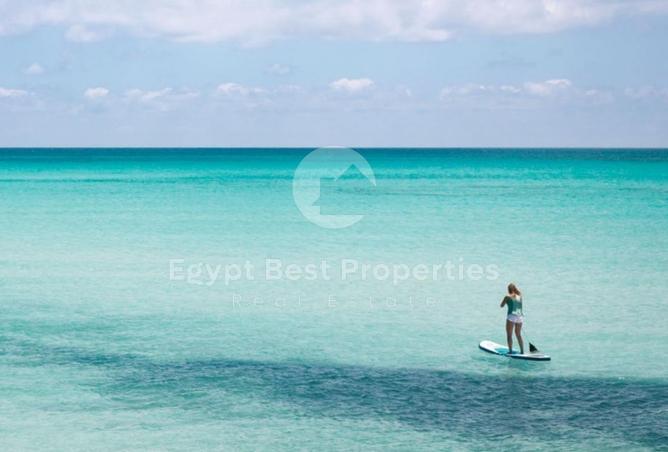 84790260 - صورة العقار 3