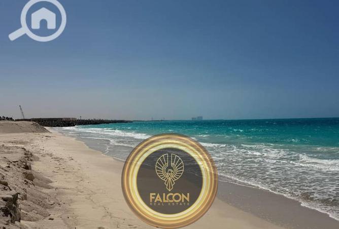 55512350 - Property Image 3