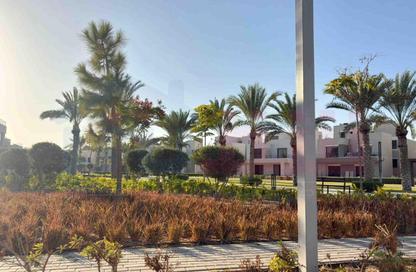 Chalet - 1 Bedroom - 1 Bathroom for sale in Palm Hills - Alexandria Compounds - Alexandria