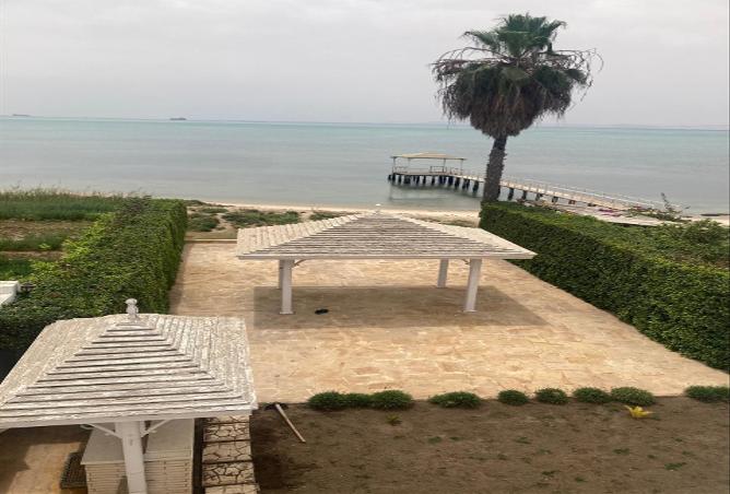 53735749 - صورة العقار 3