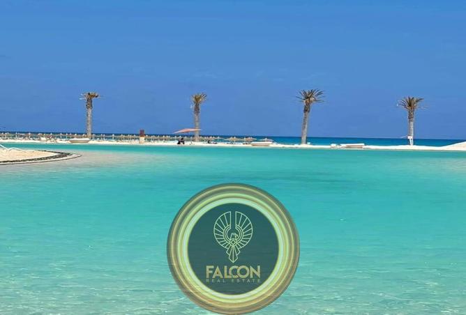 83665503 - صورة العقار 3