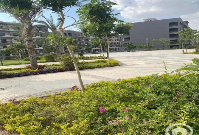 8540821 - Property Image 3