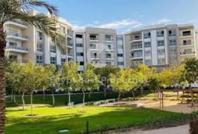 8642001 - Property Image 3