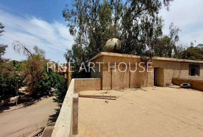 74029171 - Property Image 3