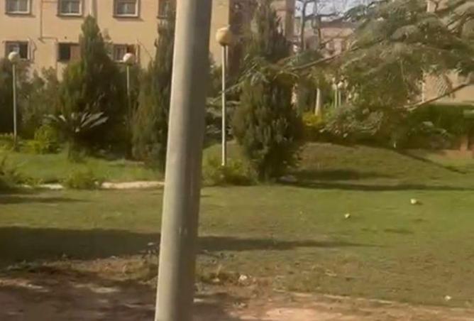 57252753 - الصورة الرئيسية للعقار