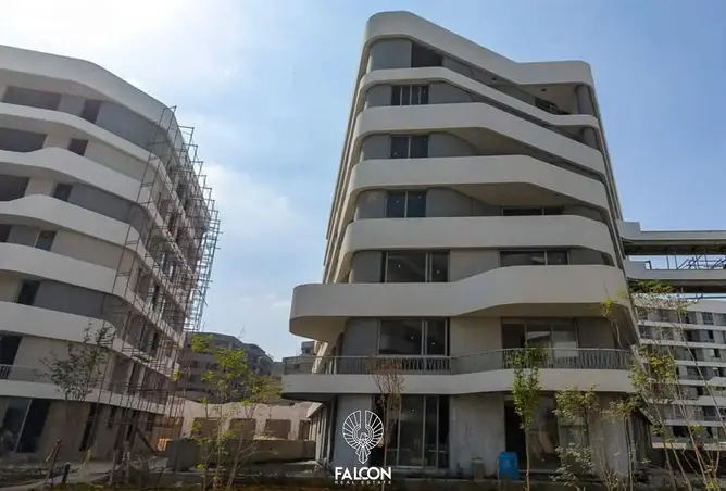 83935576 - Property Image 2