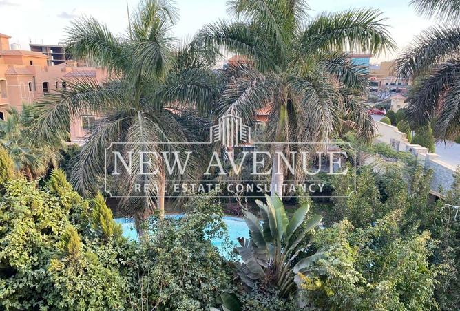 64635764 - Property Image 3