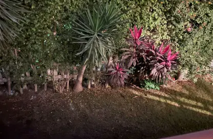 Apartment - 2 Bedrooms - 1 Bathroom for rent in Al Rehab - New Cairo City - Cairo