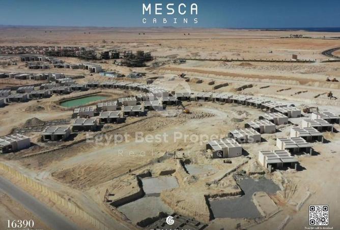 81058807 - صورة العقار 3