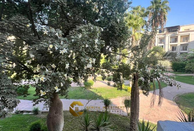 68785605 - صورة العقار 3