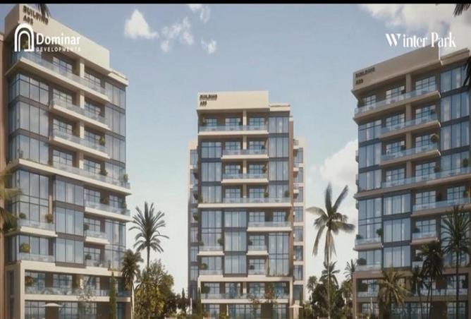 55995009 - Property Image 3