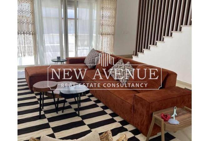 64137558 - Property Image 3