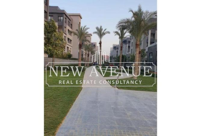 8716126 - Property Image 3