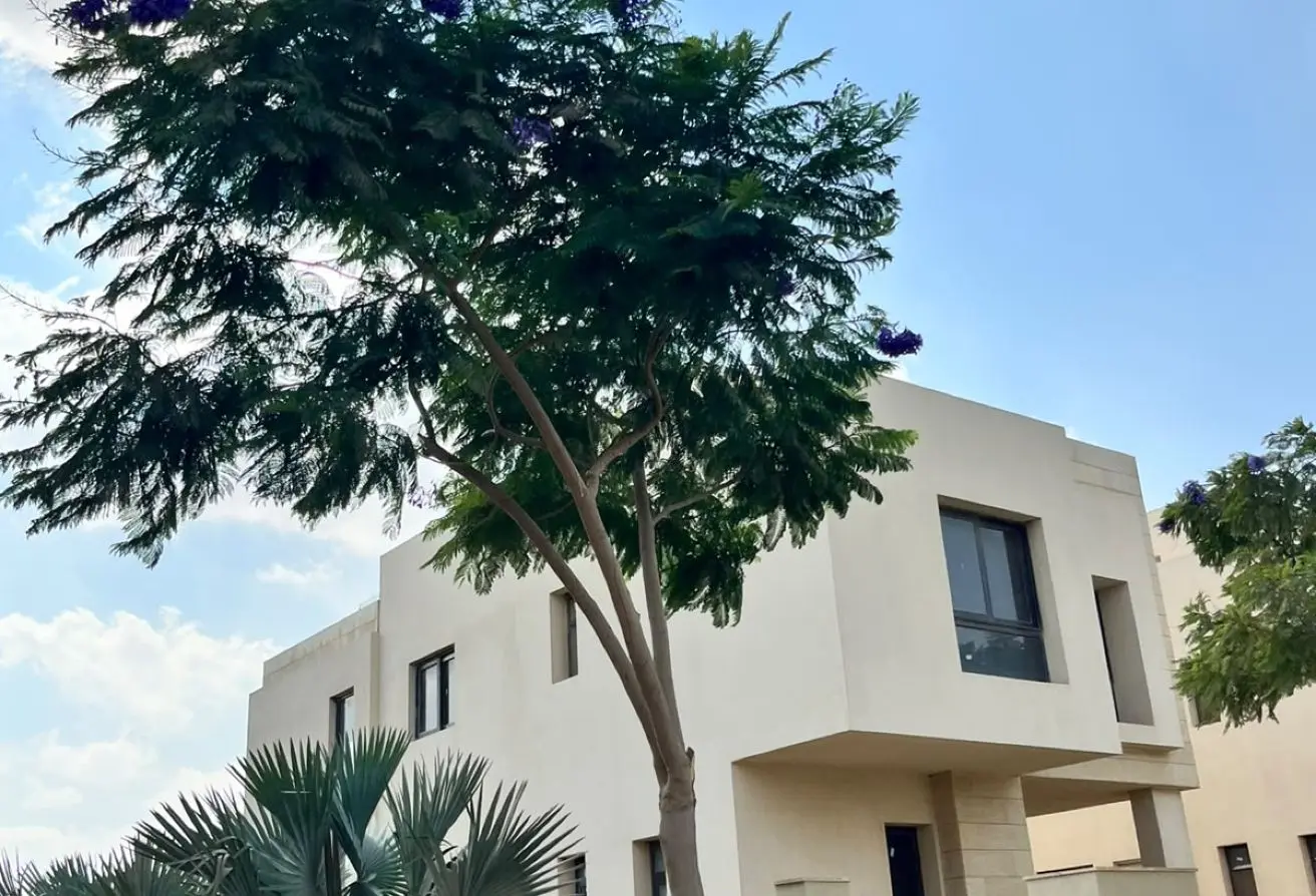 114888532 - الصورة الرئيسية للعقار