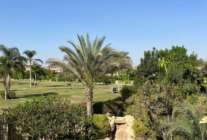 62406162 - صورة العقار 2