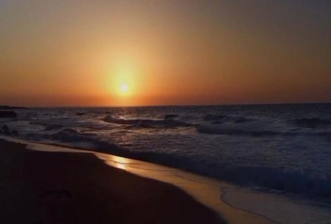 72454293 - صورة العقار 3