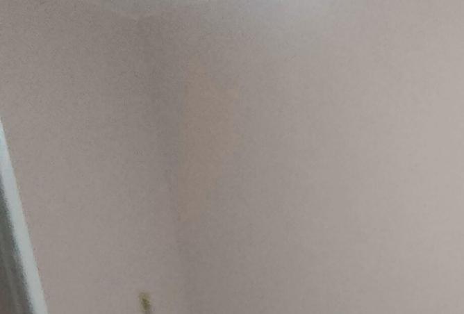 95190120 - Property Image 2