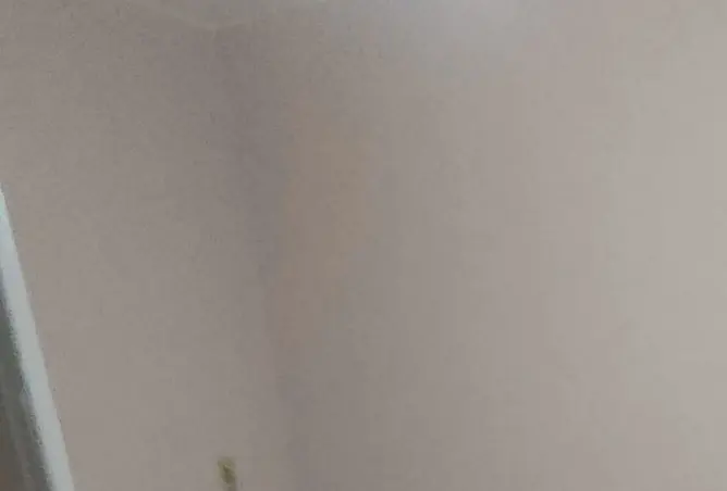 95190120 - صورة العقار 2