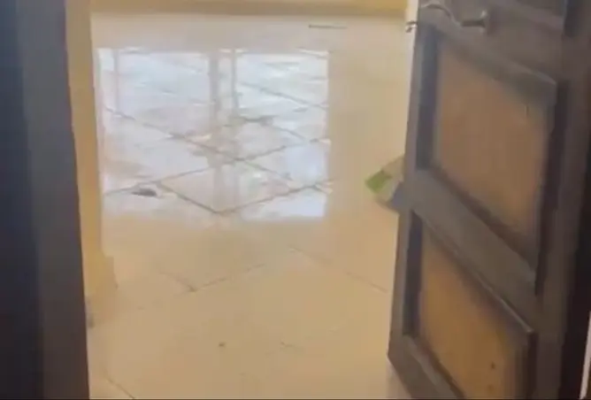 112974732 - صورة العقار 3