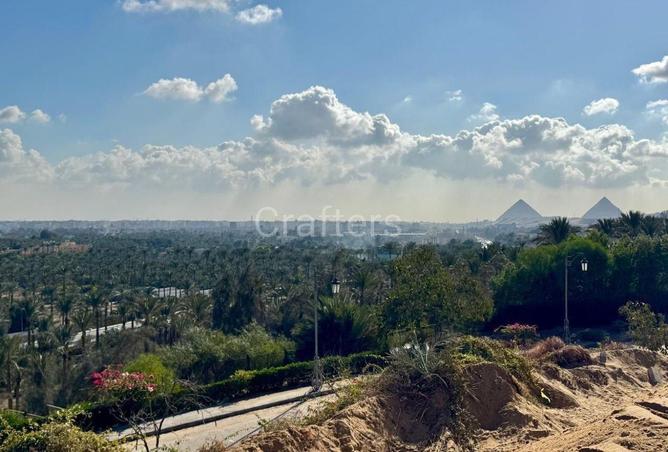 80262201 - صورة العقار 3