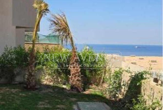 97714486 - صورة العقار 2